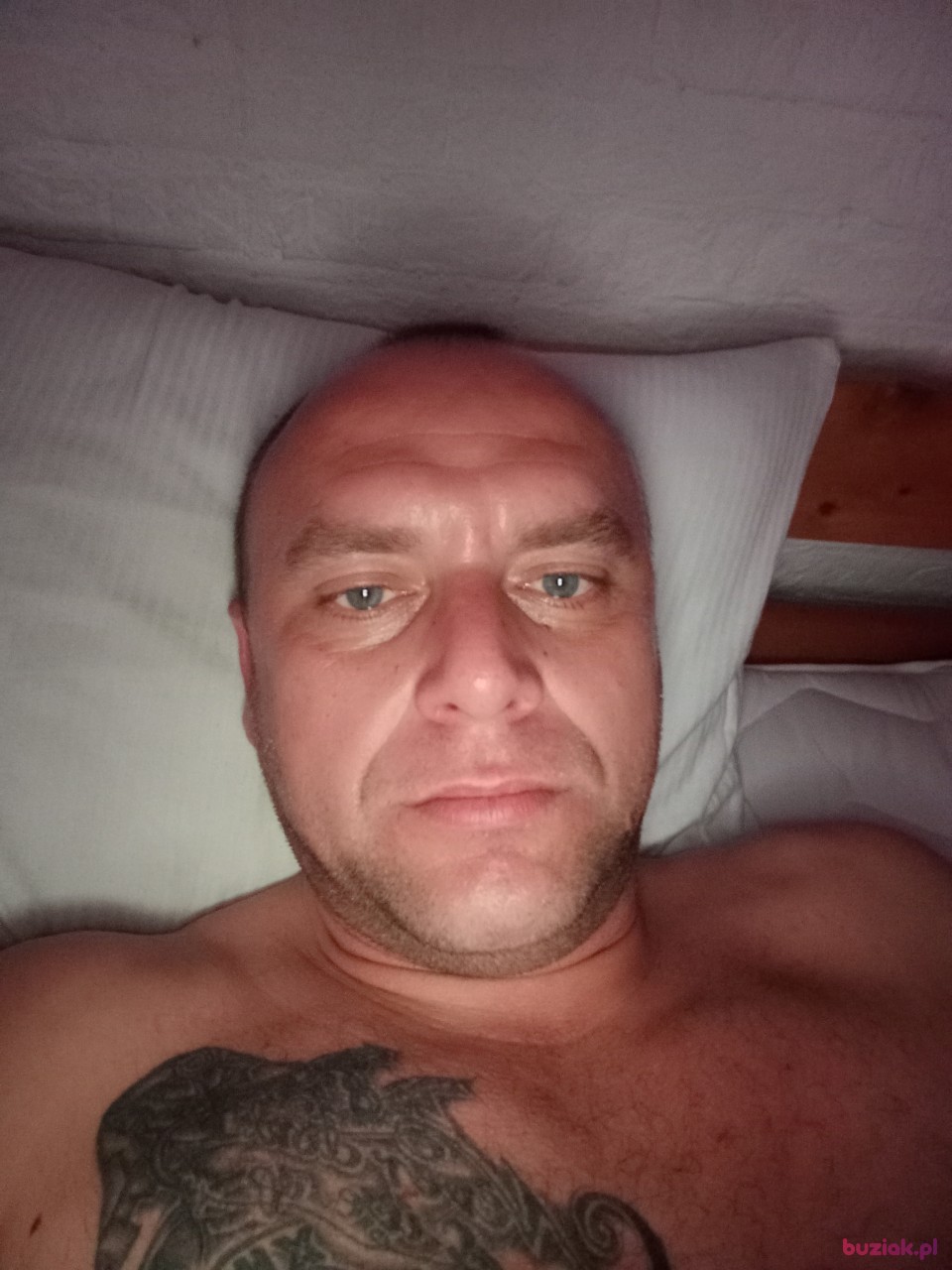 Michał, Mężczyzna, 39, Rotterdam South Holland Province, Holandia: 1