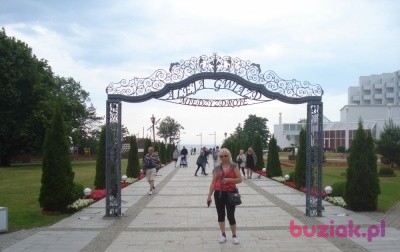 Maria, Female, 66, Jędrzejów, Polska, Photo: 4