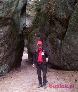 Bogdan, Mężczyzna, 58, Polska, Zdjęcie: 4