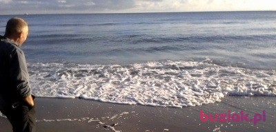 glupi, Mężczyzna, 43, Wrocław, Polska, Zdjęcie: 8