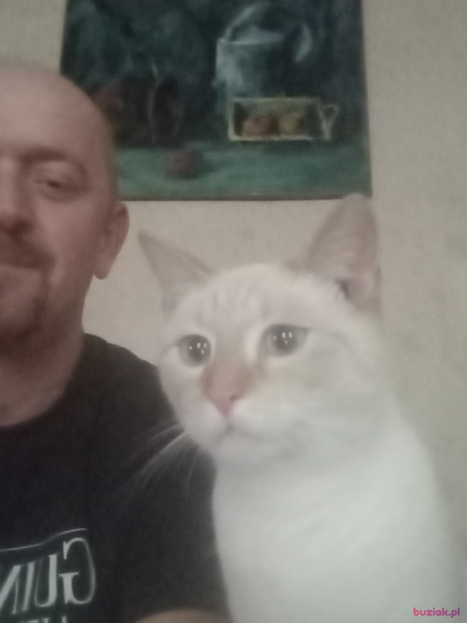 Wojtek, Mężczyzna, 49, Radzyń Podlaski, Polska, Zdjęcie: 4
