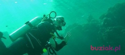 Paweł, Mężczyzna, 51, Głogów, Polska, Zdjęcie: 3