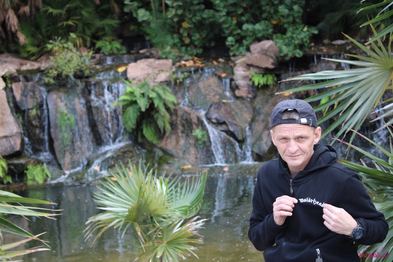 robert, Male, 53, Holandia, Photo: 1