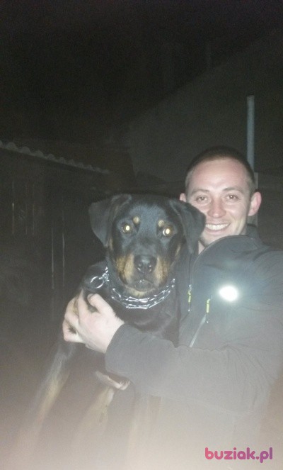 Dawid , Mężczyzna, 41, Rawicz, Polska: 1