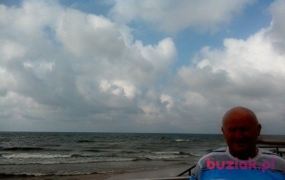 ANDRZEJ, Mężczyzna, 65, Inowrocław, Polska: 1