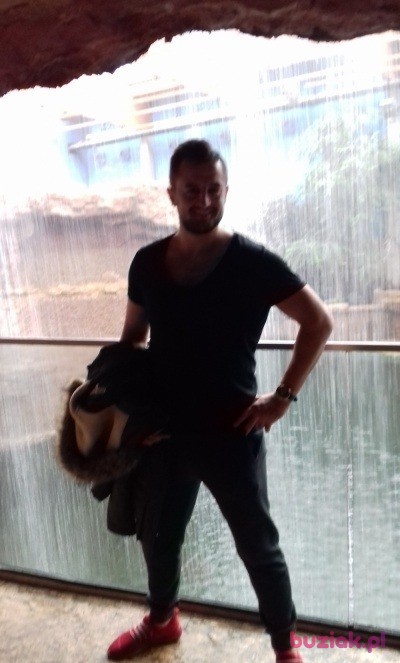 Szalonyjanek, Male, 37, Chełm, Polska: 1