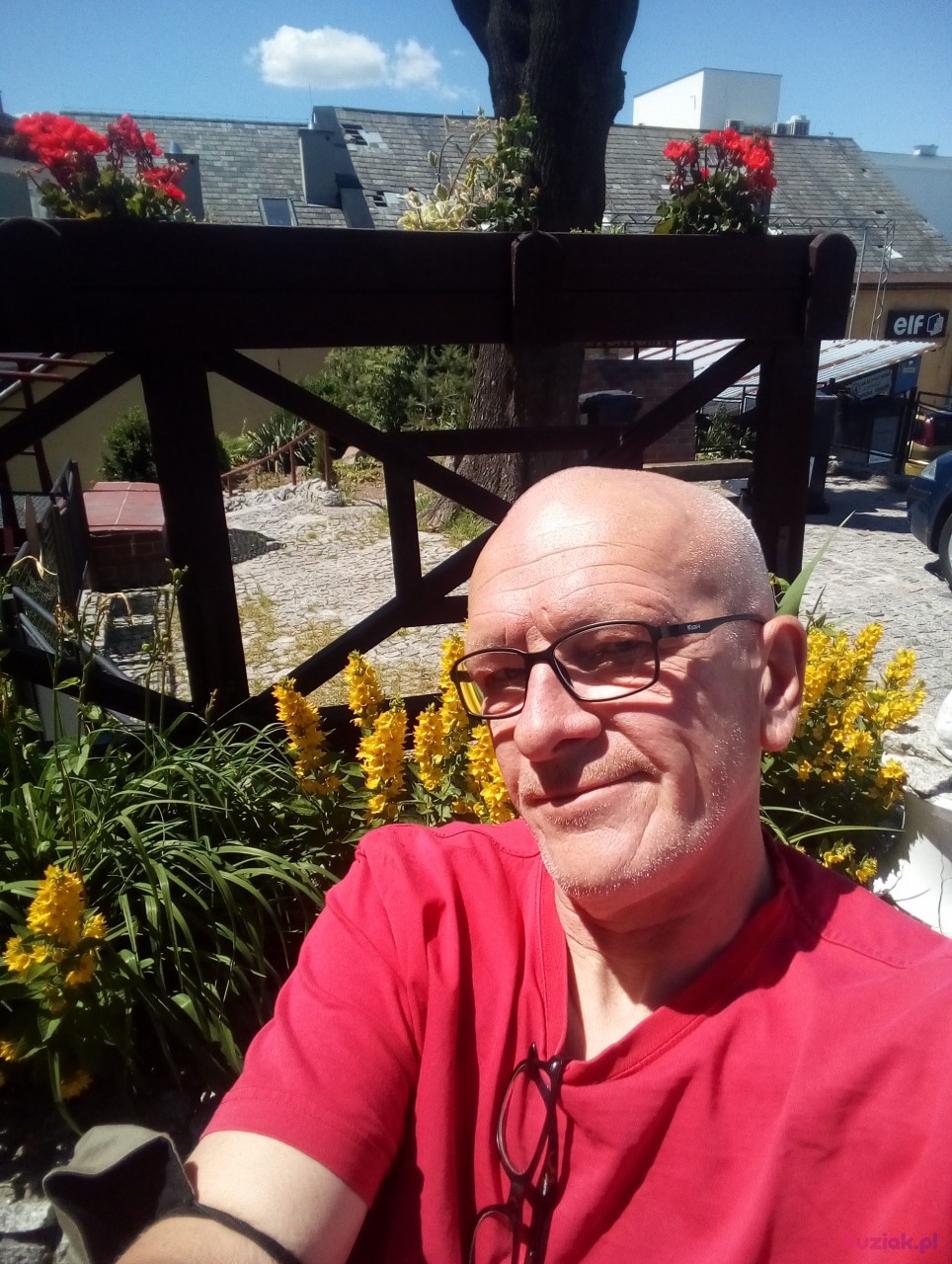 Grzegorz, Mężczyzna, 59, Jelenia Góra, Polska: 1
