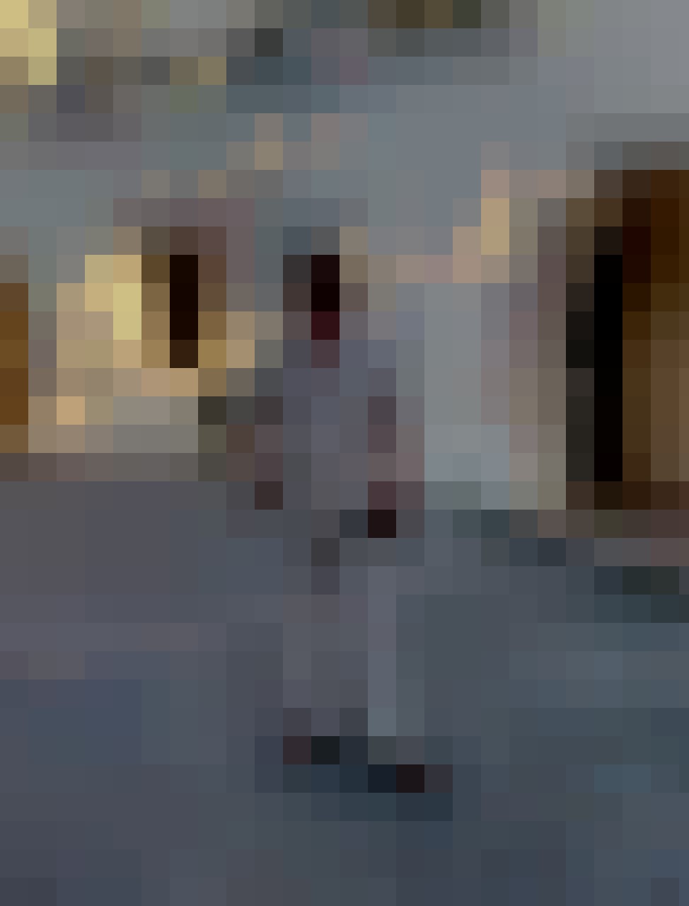 Prem, Male, 58, Oborniki, Polska, Photo: 10
