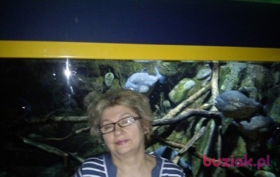 Marysia, Kobieta, 70, Zduńska Wola, Polska, Zdjęcie: 3