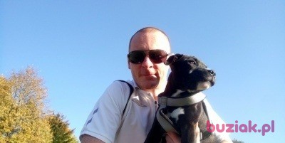 Przemek , Mężczyzna, 40, Sosnowiec, Polska, Zdjęcie: 4