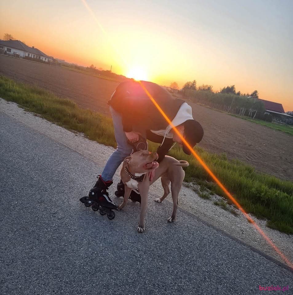 Kacper, Mężczyzna, 22, 's-Hertogenbosch, Holandia, Zdjęcie: 2