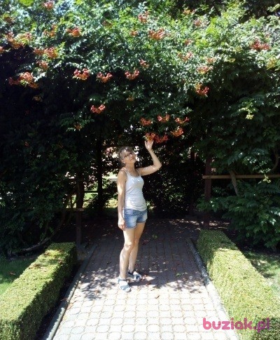 Dorota, Female, 52, Polska, Photo: 4