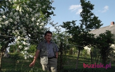 Ryszard, Male, 62, Głubczyce, Polska, Photo: 1