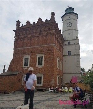 Jędrek, Mężczyzna, 66, Wejherowo, Polska, Zdjęcie: 5