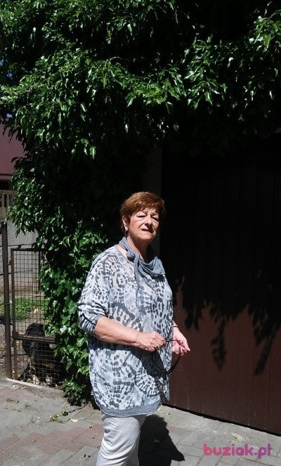 Mariola, Kobieta, 73, Kępno, Polska, Zdjęcie: 5