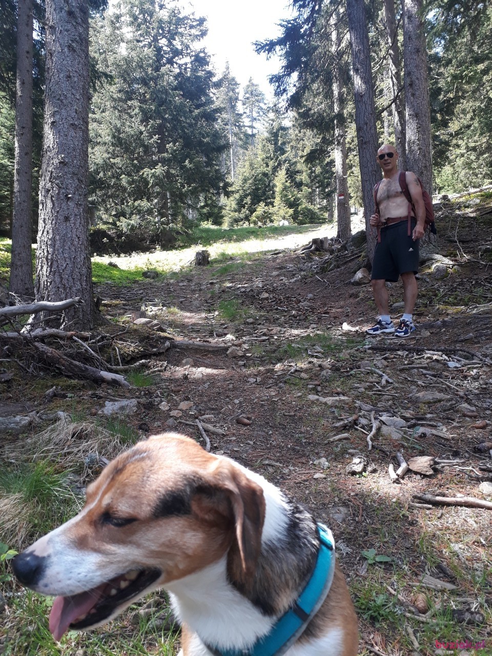 Przemek, Male, 46, Monachium, Niemcy, Photo: 1
