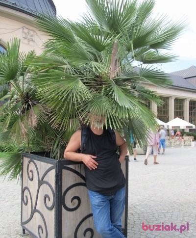 Jerzy, Male, 60, Gdańsk, Polska, Photo: 1