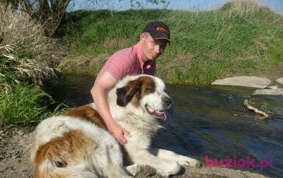 rolandking, Male, 44, Jarocin, Polska, Photo: 1