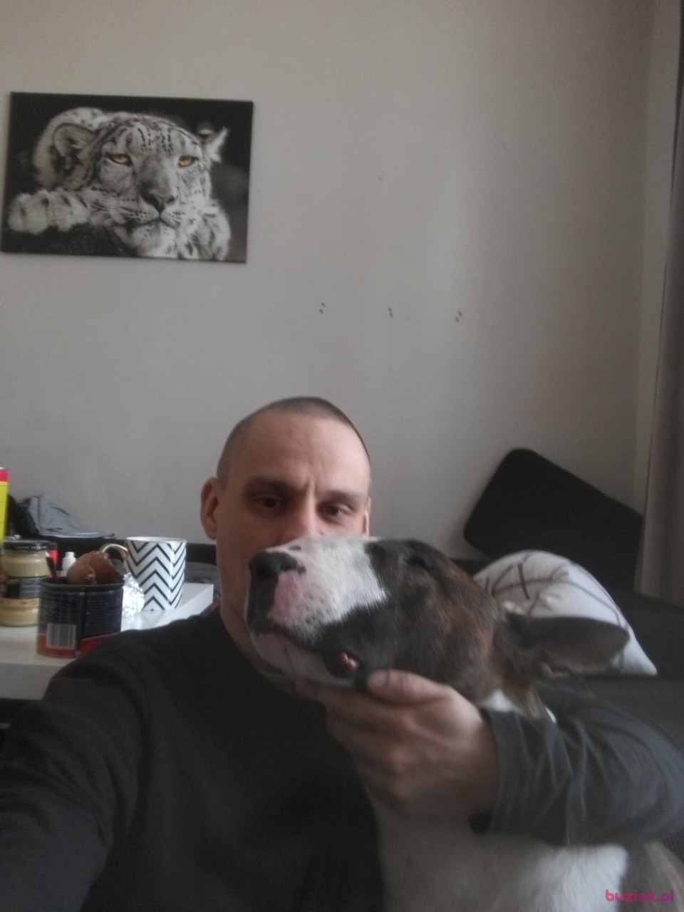 Adam, Male, 36, Łódź, Polska: 1