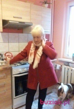 Elzbieta, Kobieta, 65, Legnica, Polska, Zdjęcie: 2