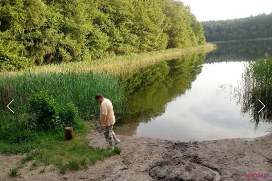 Marek, Mężczyzna, 55, Białystok, Polska, Zdjęcie: 6
