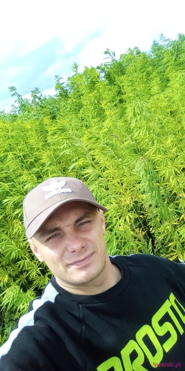 Damian, Mężczyzna, 28, Kamienna Góra, Polska: 1