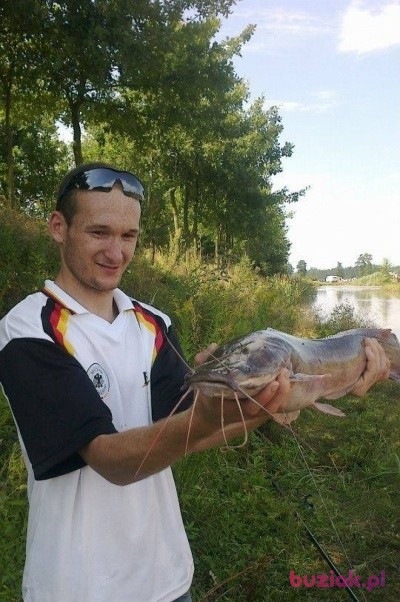 rafał, Male, 32, Oława, Polska: 1