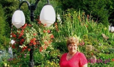 Wrzos19, Kobieta, 73, Polska, Zdjęcie: 1