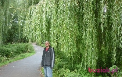 pitras, Mężczyzna, 39, Łomża, Polska, Zdjęcie: 2
