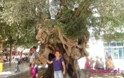 Boguslawa, Female, 72, Kolbuszowa, Polska, Photo: 2