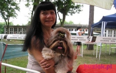 Małgorzata, Kobieta, 61, Kalisz, Polska, Zdjęcie: 4