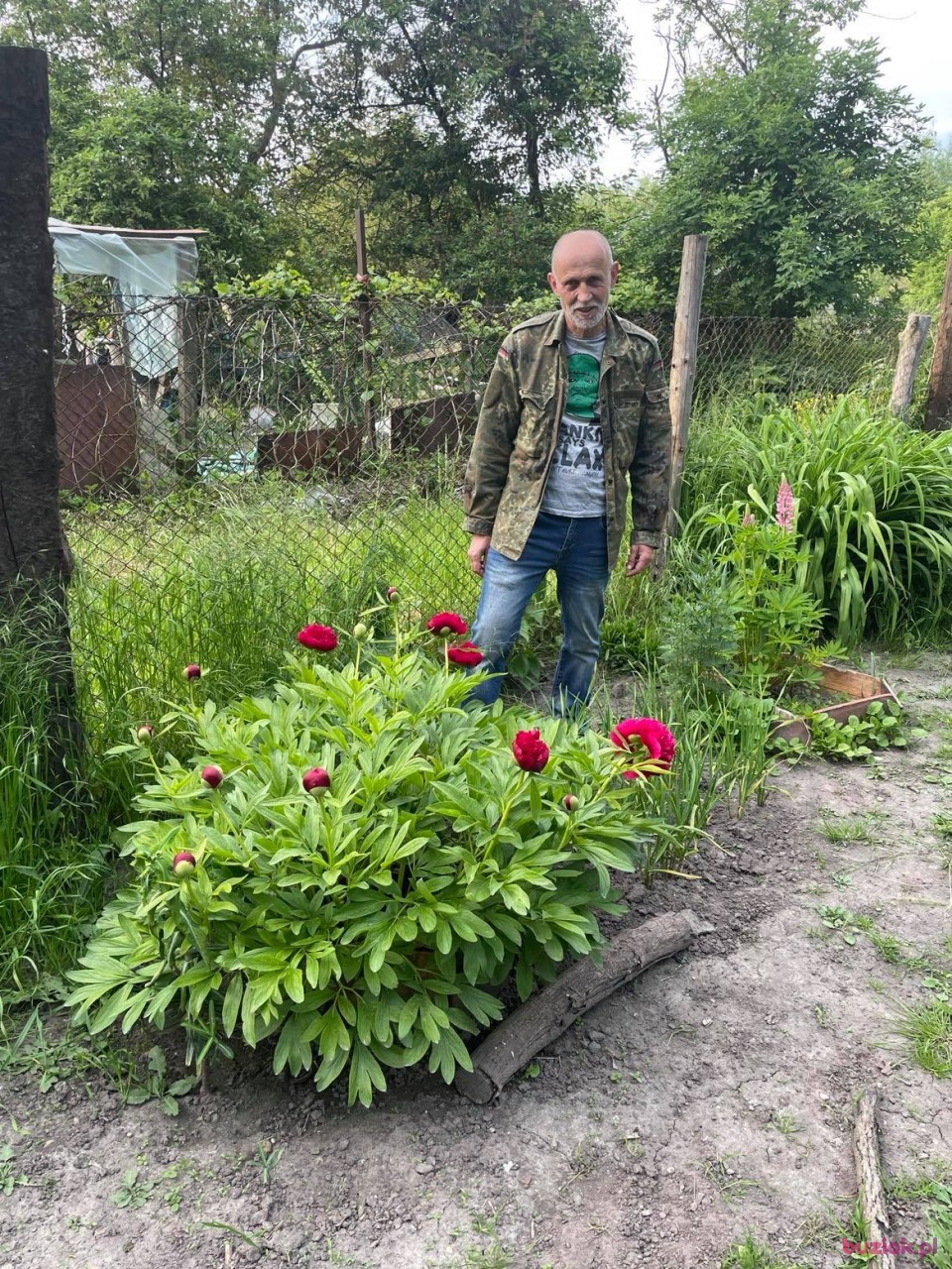 Janek, Male, 61, Głogów, Polska, Photo: 6
