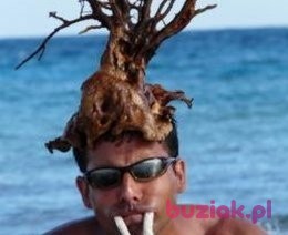Krzysztof, Mężczyzna, 55, Warszawa, Polska, Zdjęcie: 1