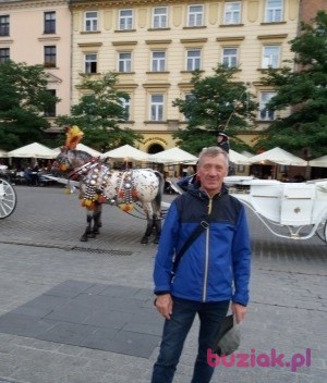 tadeusz, Mężczyzna, 66, Szamotuły, Polska, Zdjęcie: 2