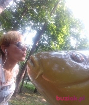 Sylwia, Kobieta, 38, Trzcianka, Polska, Zdjęcie: 1