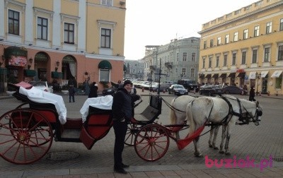 lucek1966, Mężczyzna, 57, Kłodzko, Polska, Zdjęcie: 1