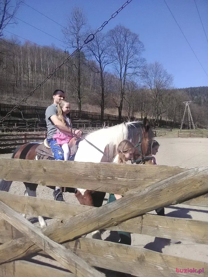Piotr, Mężczyzna, 39, Nowa Ruda, Polska, Zdjęcie: 4