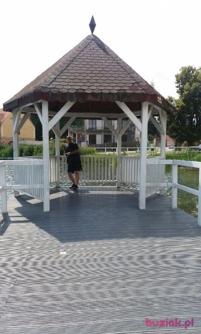Grzegorz, Mężczyzna, 51, Gorzów Wielkopolski, Polska, Zdjęcie: 4