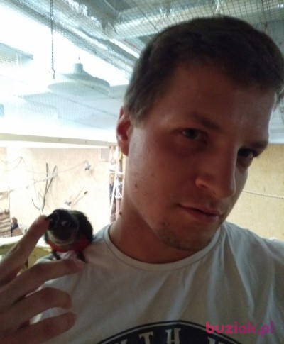 Dawid, Mężczyzna, 33, Warszawa, Polska: 1
