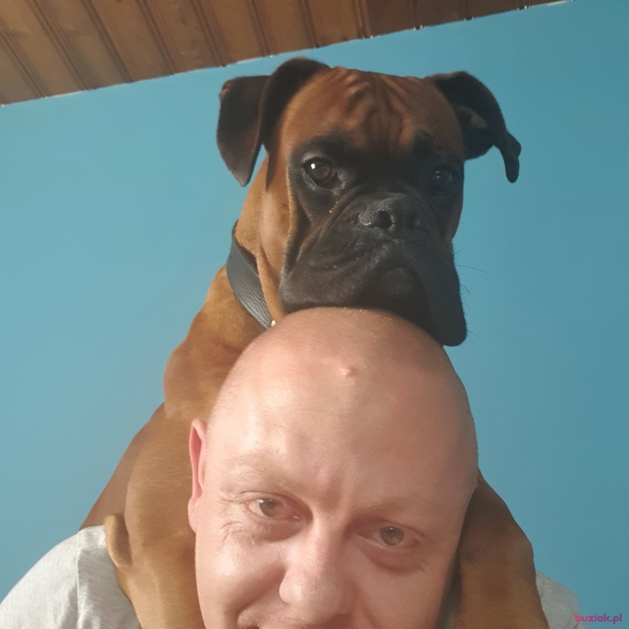 Rafał, Male, 37, Oborniki, Polska, Photo: 2