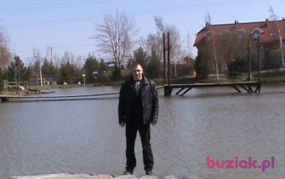 boxer1982, Male, 38, Wałbrzych, Polska: 1