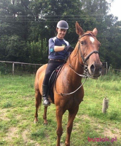 Lech, Male, 56, Mława, Polska, Photo: 4