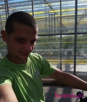 Mariusz, Male, 36, Rotterdam South Holland Province, Holandia, Photo: 1