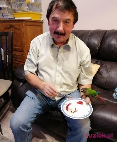 Zdzislaw, Mężczyzna, 68, Kraków, Polska, Zdjęcie: 5