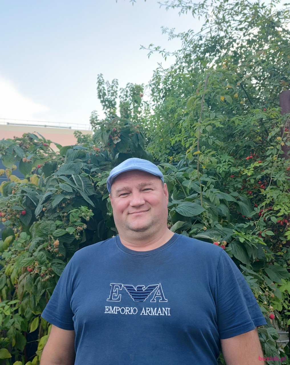 Bolek, Male, 50, Haute Normandie Normandy, Francja: 1