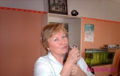 OLGA, Female, 74, Rosja, Photo: 2