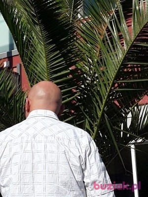 Max, Male, 45, Fryburg Bryzgowijski, Niemcy, Photo: 1