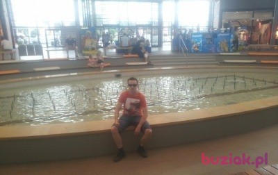 Mateusz, Mężczyzna, 37, Zabrze, Polska, Zdjęcie: 4