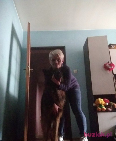 Katarzyna, Kobieta, 42, Świętochłowice, Polska, Zdjęcie: 6
