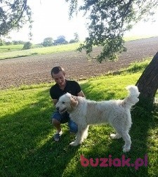 Damian, Male, 37, Biecz, Polska: 1